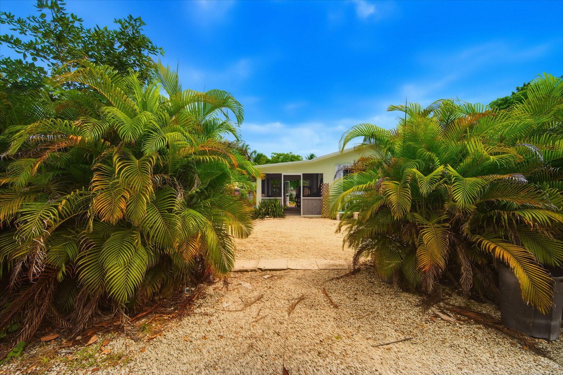 House in Big Pine Key, Florida, United States 4 - 18566924