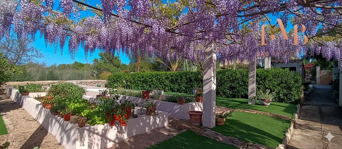 Finca in Marratxi, Balearic Islands, Spain 5 - 17747076