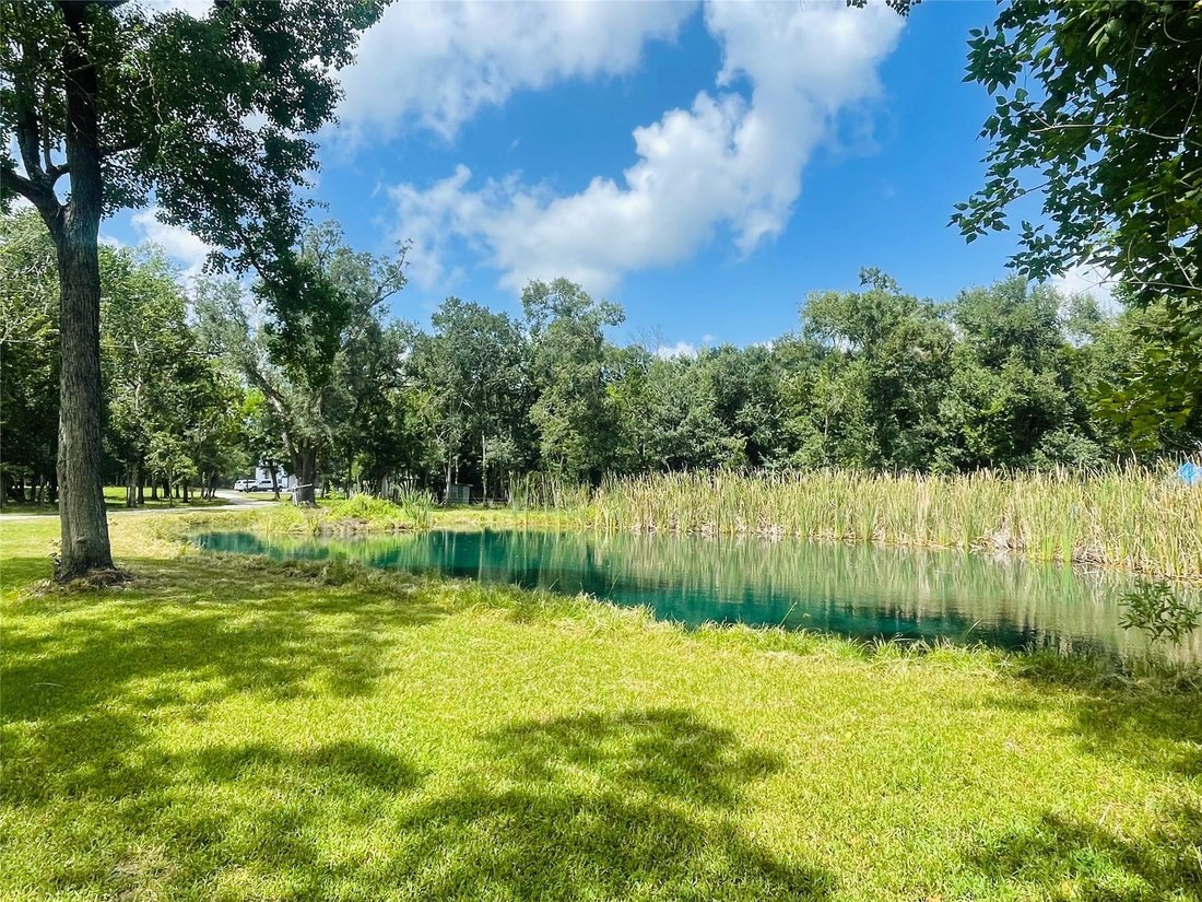 House in Angleton, Texas, United States 5 - 18569176