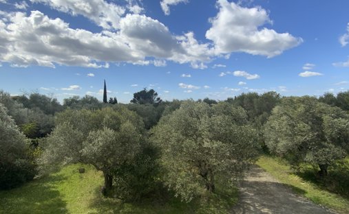 Land in Uza, Nouvelle-Aquitaine, France 1