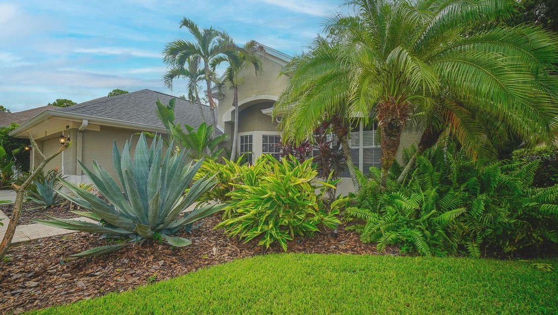 House in Tampa, Florida, United States 3 - 18571384