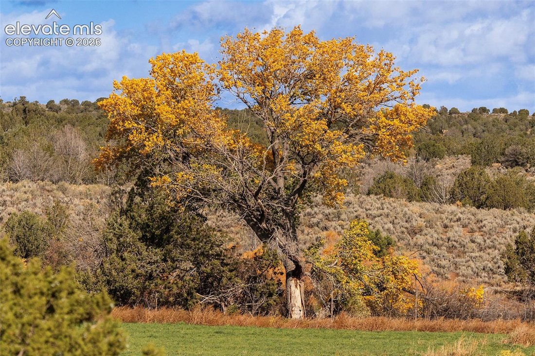 Farm Ranch in Cortez, Colorado, United States 4 - 18569065