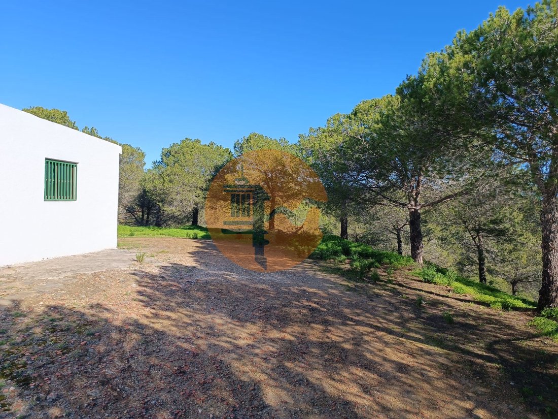 Finca in Castro Marim, Algarve, Portugal 1 - 14322176