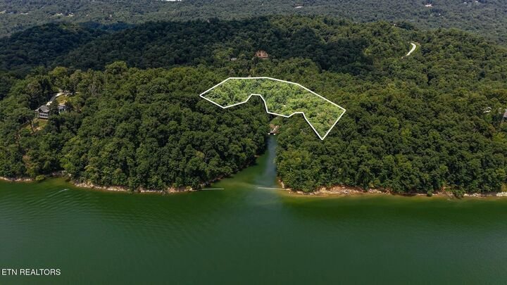 House in New Tazewell, Tennessee, United States 3 - 18572660