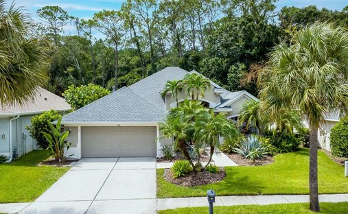 House in Tampa, Florida, United States 1