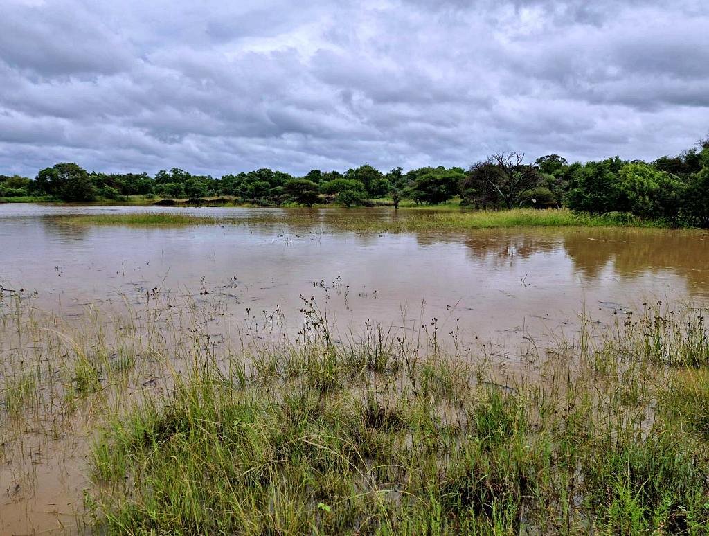 Farm Ranch in Braamfontein, Gauteng, South Africa 5 - 18567435