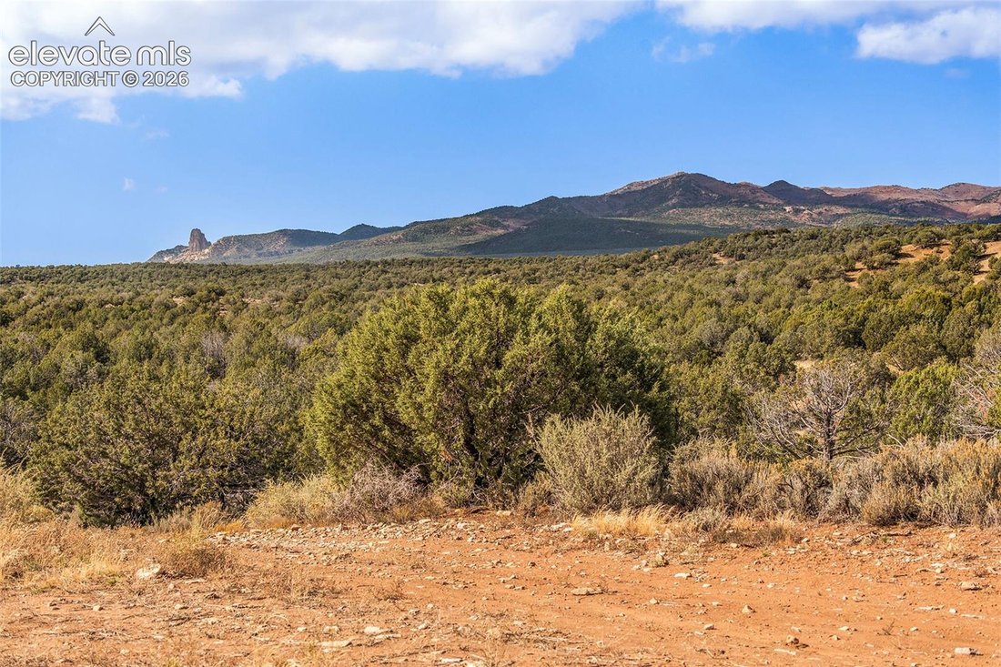 Farm Ranch in Cortez, Colorado, United States 2 - 18569065
