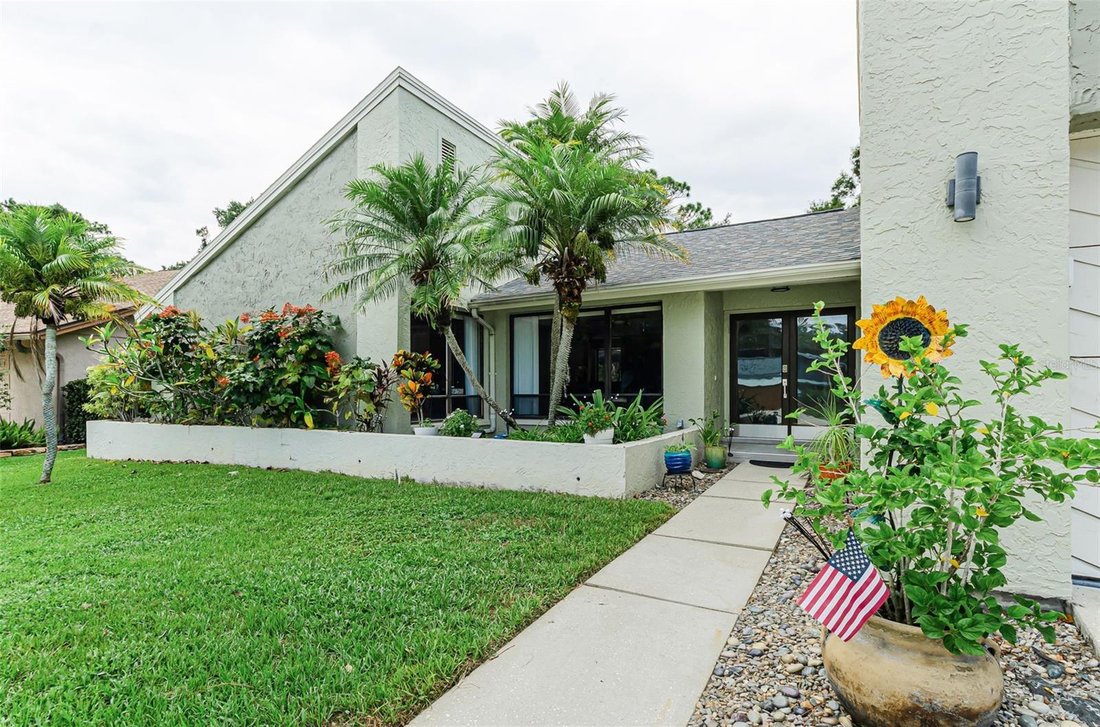 House in Safety Harbor, Florida, United States 3 - 18568821