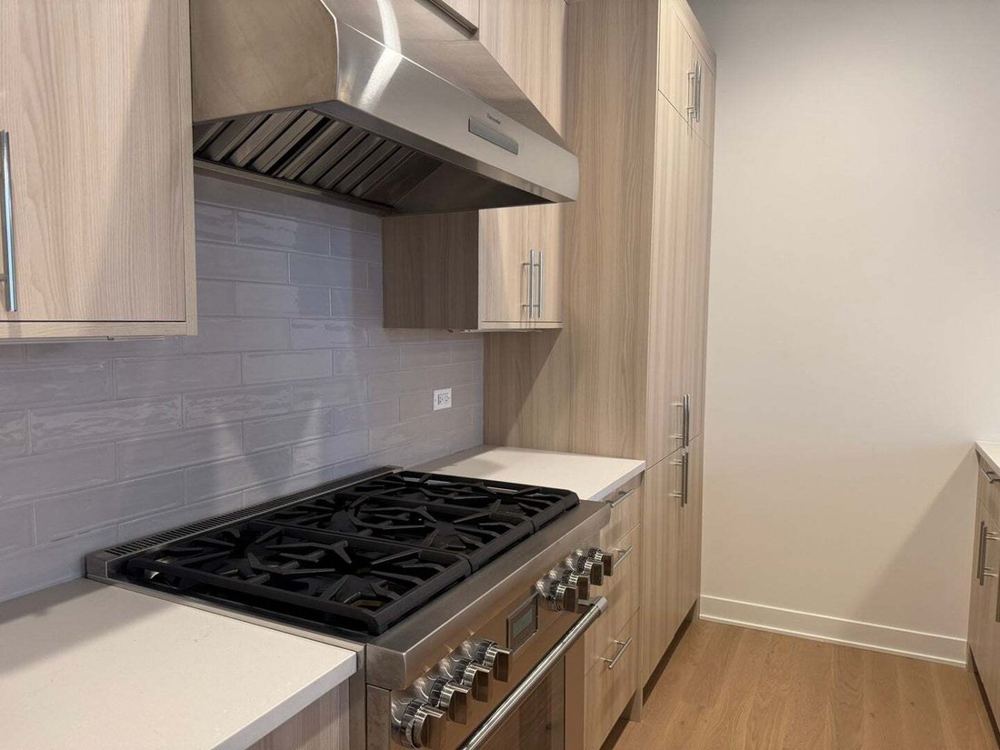 Condo in Chicago, Illinois, United States 3 - 18570760