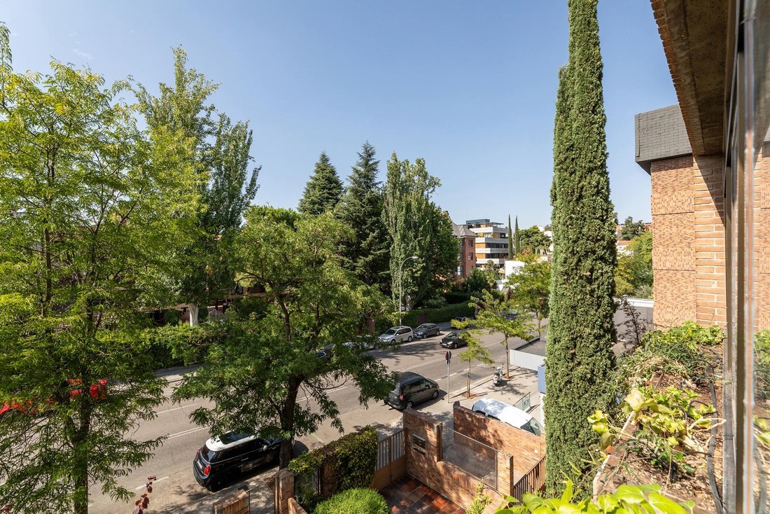 Apartment in Ciudad Lineal, Madrid, Spain 5 - 18555433