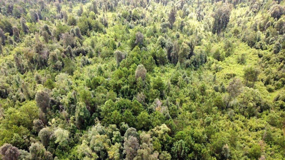 Land in Santa María Pipioltepec, State of Mexico, Mexico 5 - 18568374