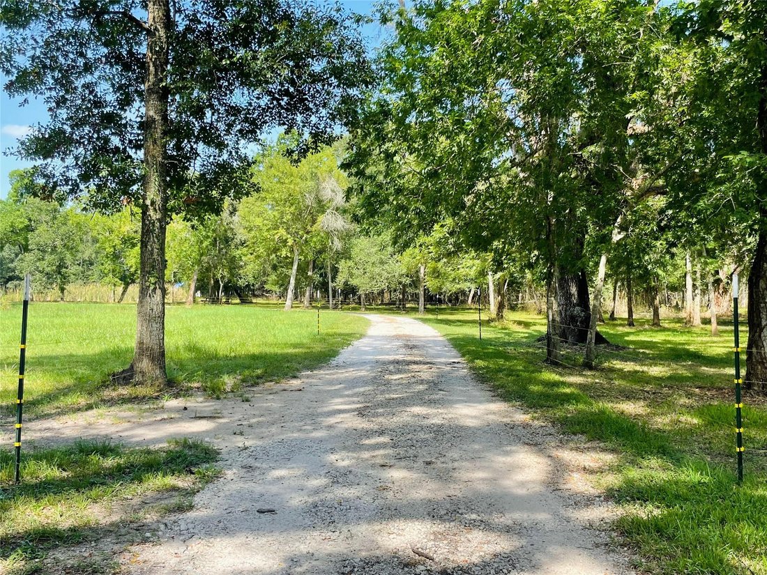 House in Angleton, Texas, United States 3 - 18569176