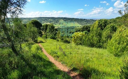 Land in Palmela, Setubal, Portugal 1