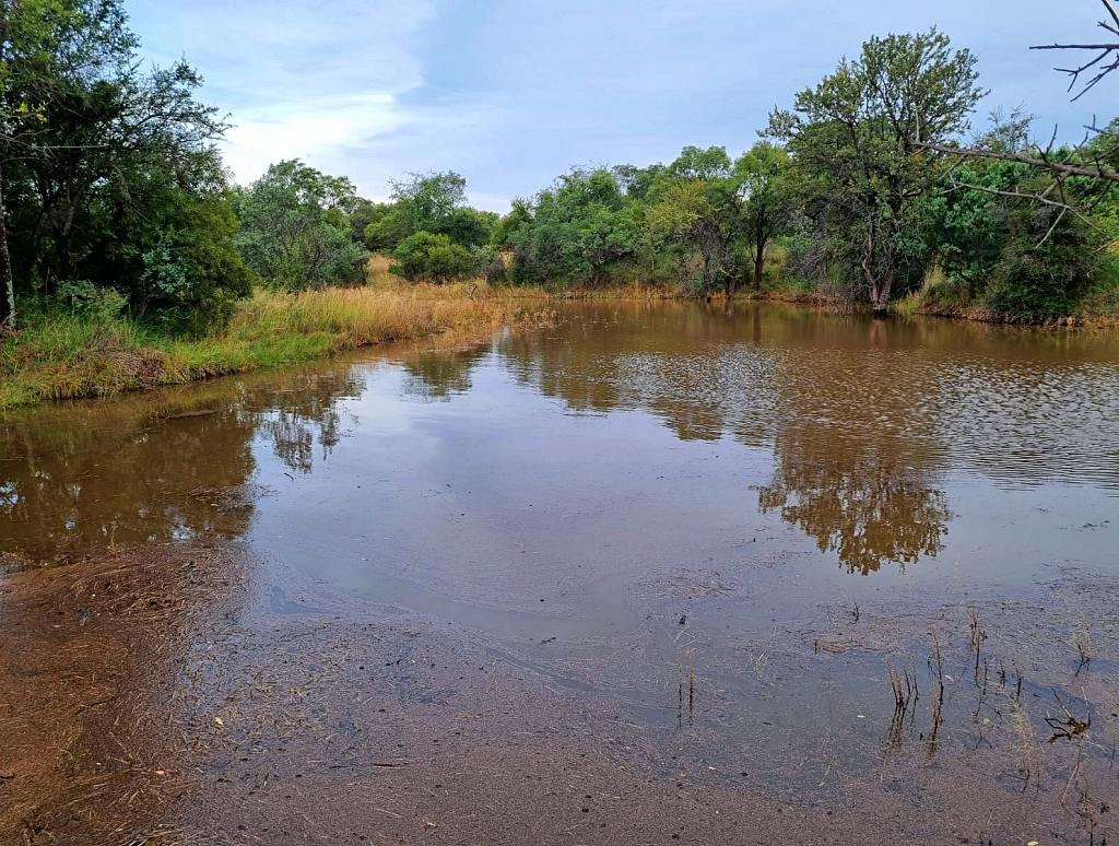 Farm Ranch in Braamfontein, Gauteng, South Africa 1 - 18567435