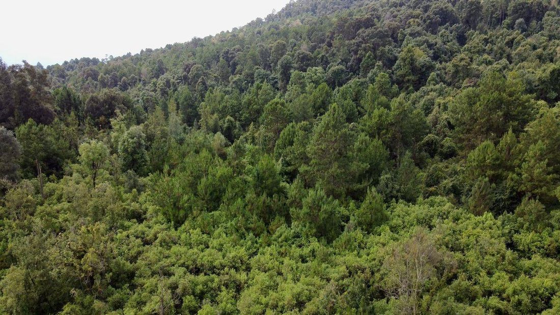 Land in Santa María Pipioltepec, State of Mexico, Mexico 2 - 18568374