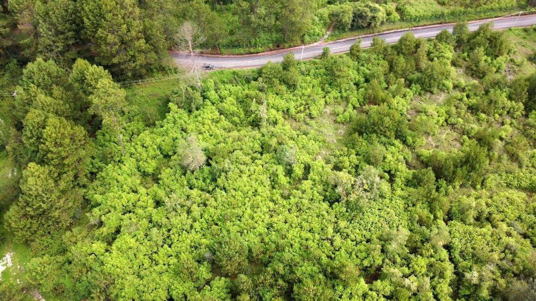 Land in Santa María Pipioltepec, State of Mexico, Mexico 1 - 18568374