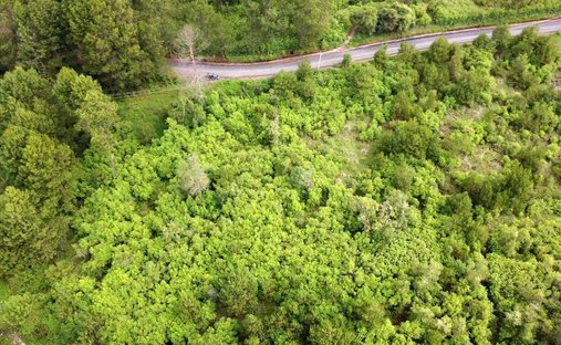 Land in Santa María Pipioltepec, State of Mexico, Mexico 1