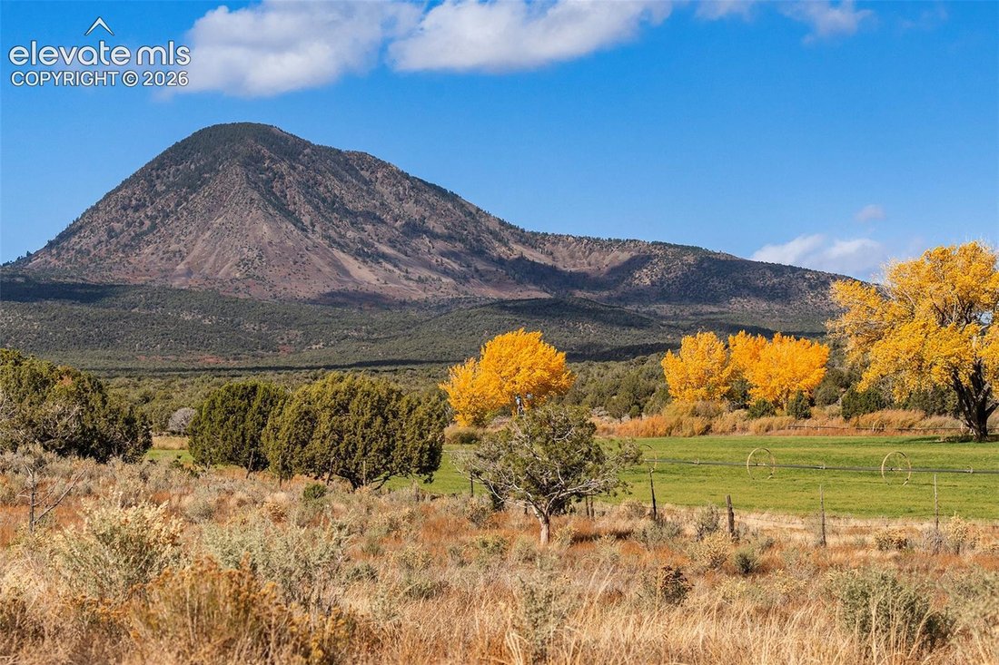 Farm Ranch in Cortez, Colorado, United States 5 - 18569065