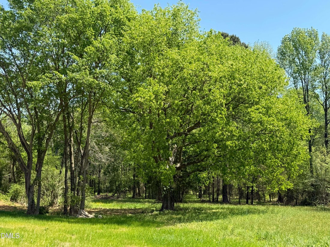 House in Siler City, North Carolina, United States 5 - 18567018