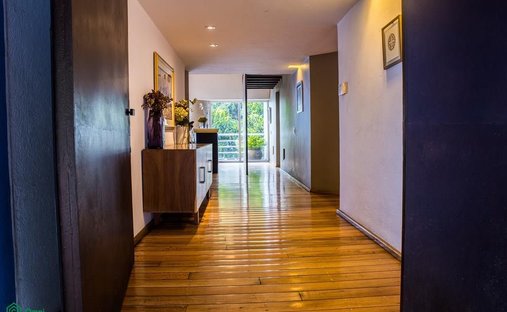 House in Mexico City, Mexico 1
