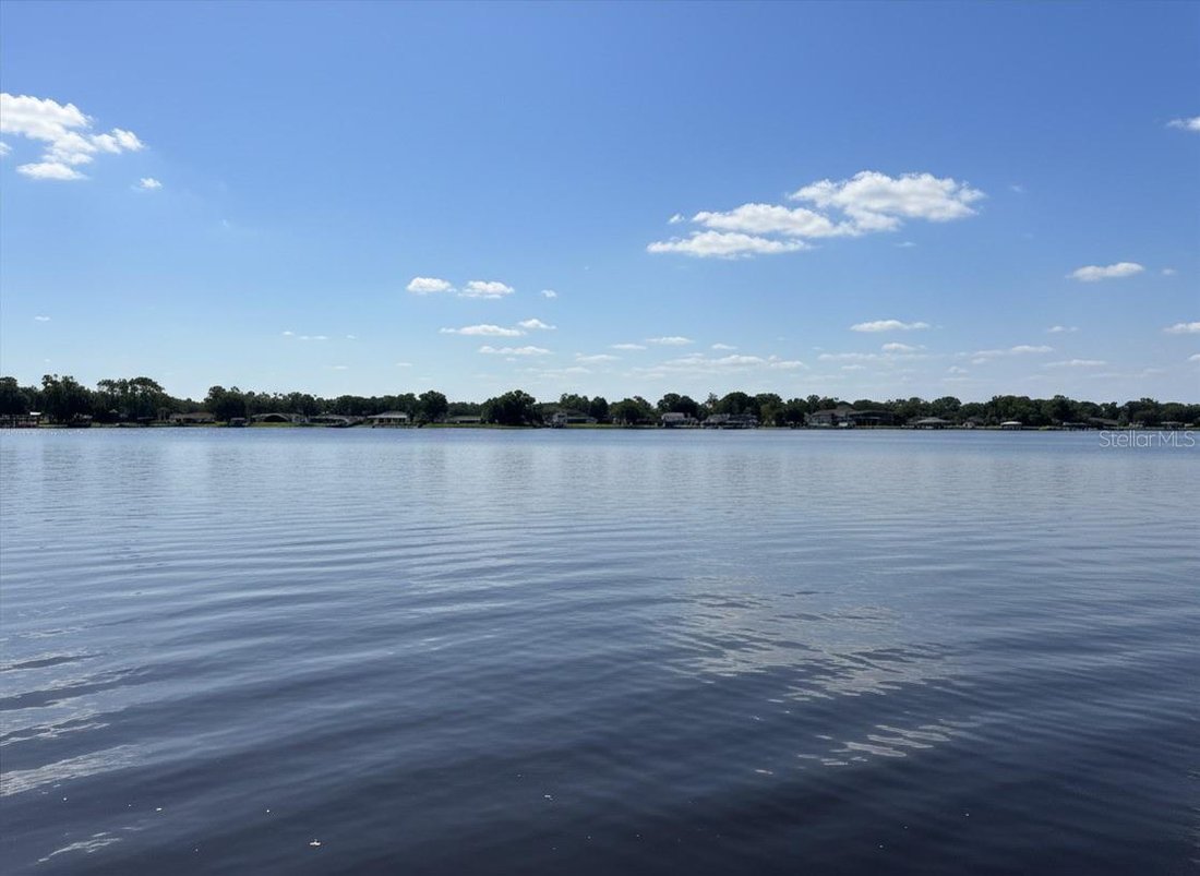 House in Land O' Lakes, Florida, United States 3 - 18568809
