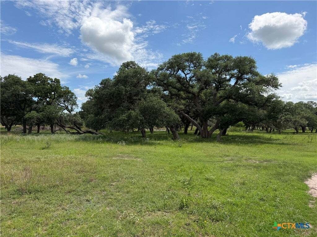 House in Yoakum, Texas, United States 2 - 18568501