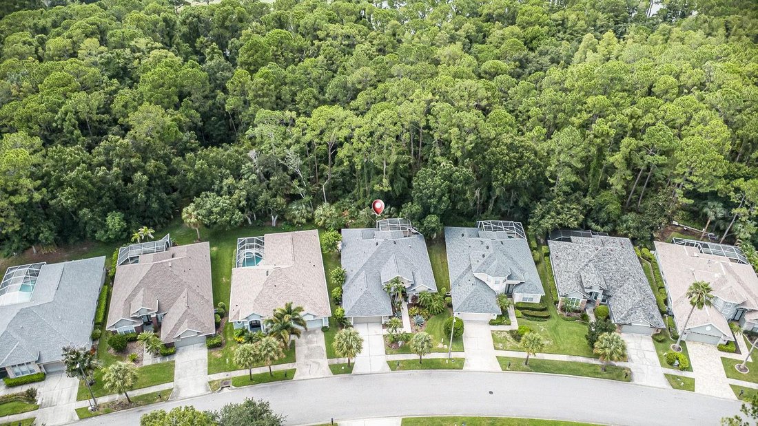 House in Tampa, Florida, United States 2 - 18571384