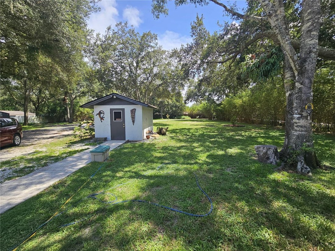 House in Tampa, Florida, United States 5 - 18573422