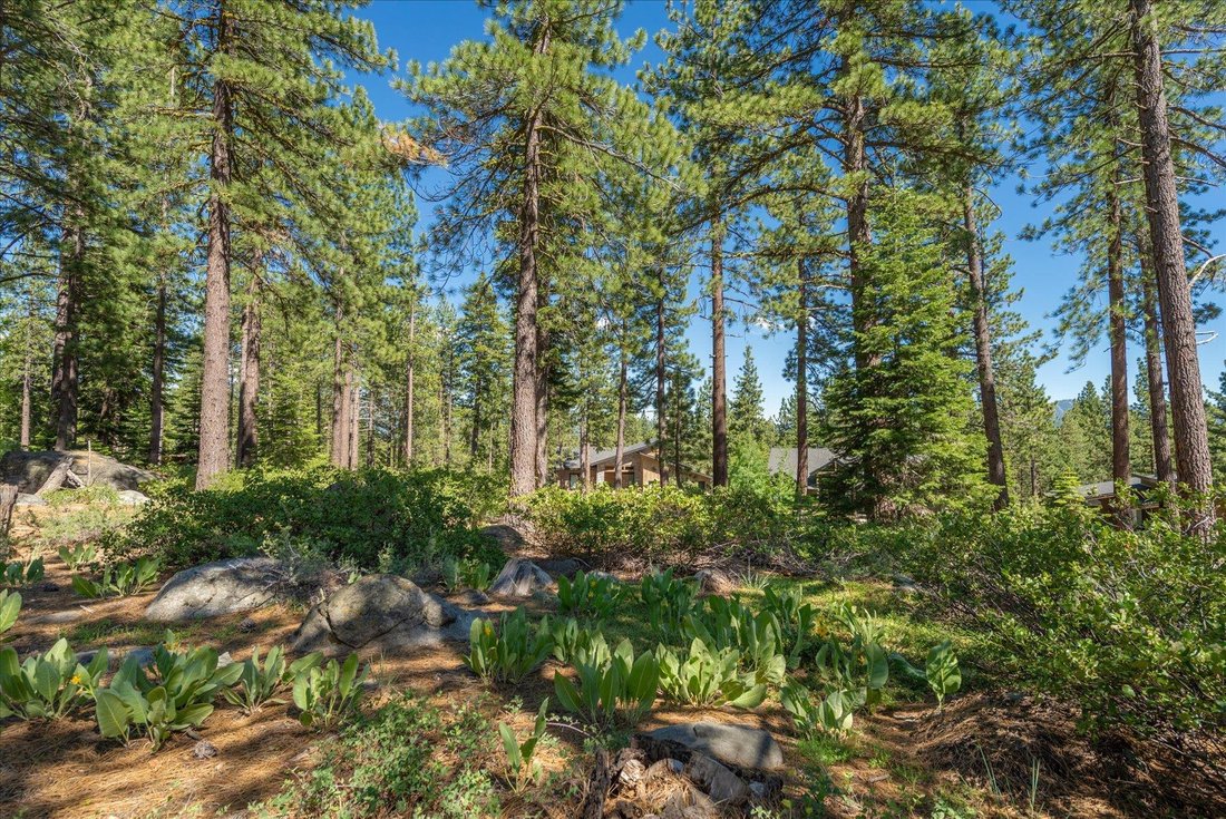 House in Truckee, California, United States 4 - 18572877