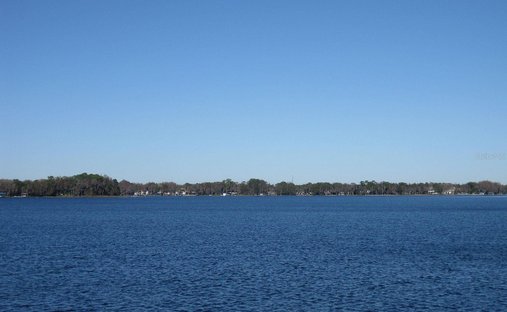 House in Odessa, Florida, United States 1