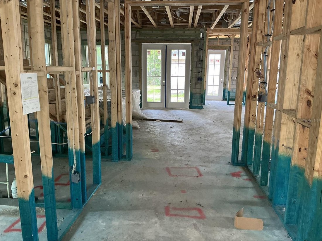 House in St. Petersburg, Florida, United States 5 - 17689598