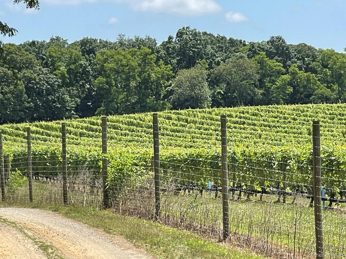 Land in Peconic, New York, United States 3 - 18572793