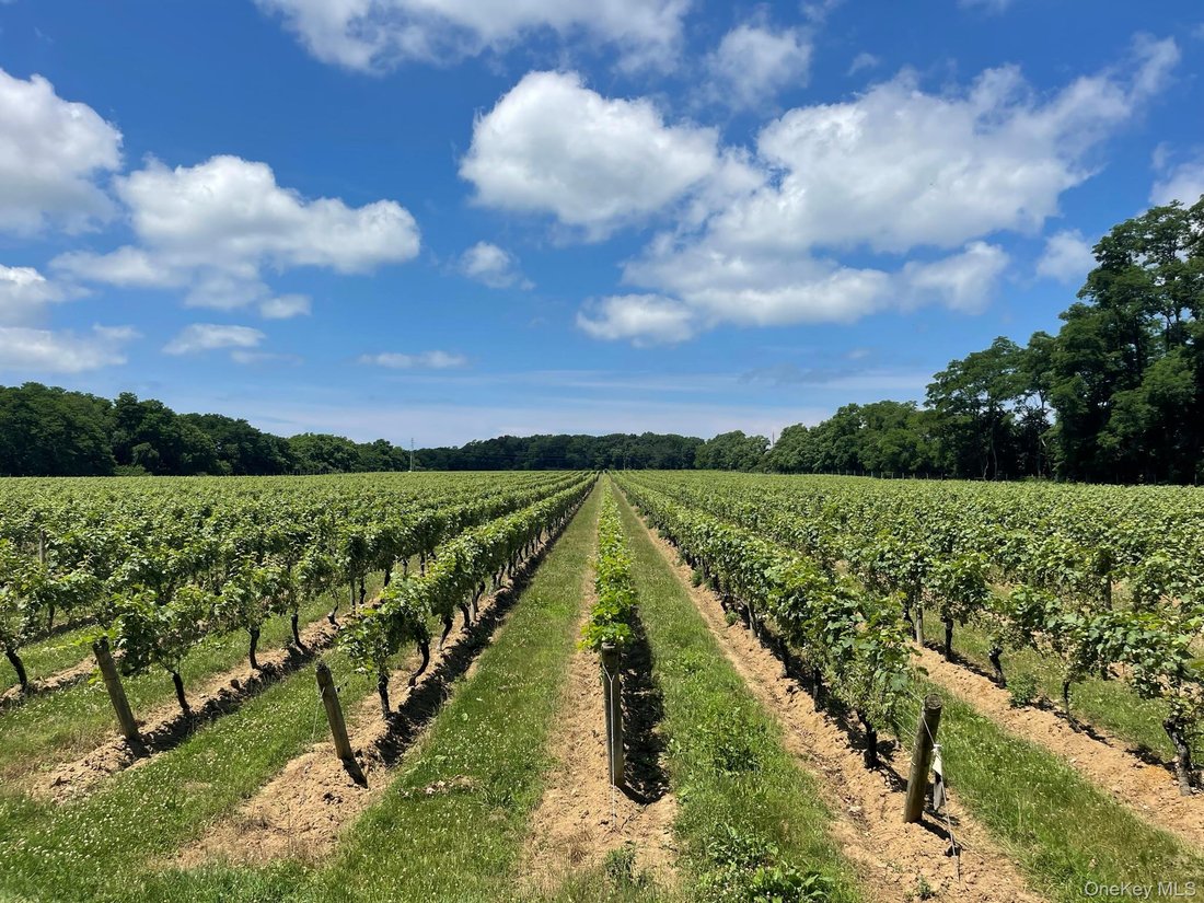 Land in Peconic, New York, United States 5 - 18572793