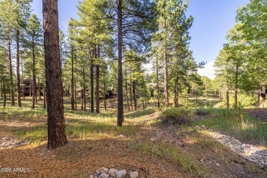 House in Flagstaff, Arizona, United States 4 - 18570967