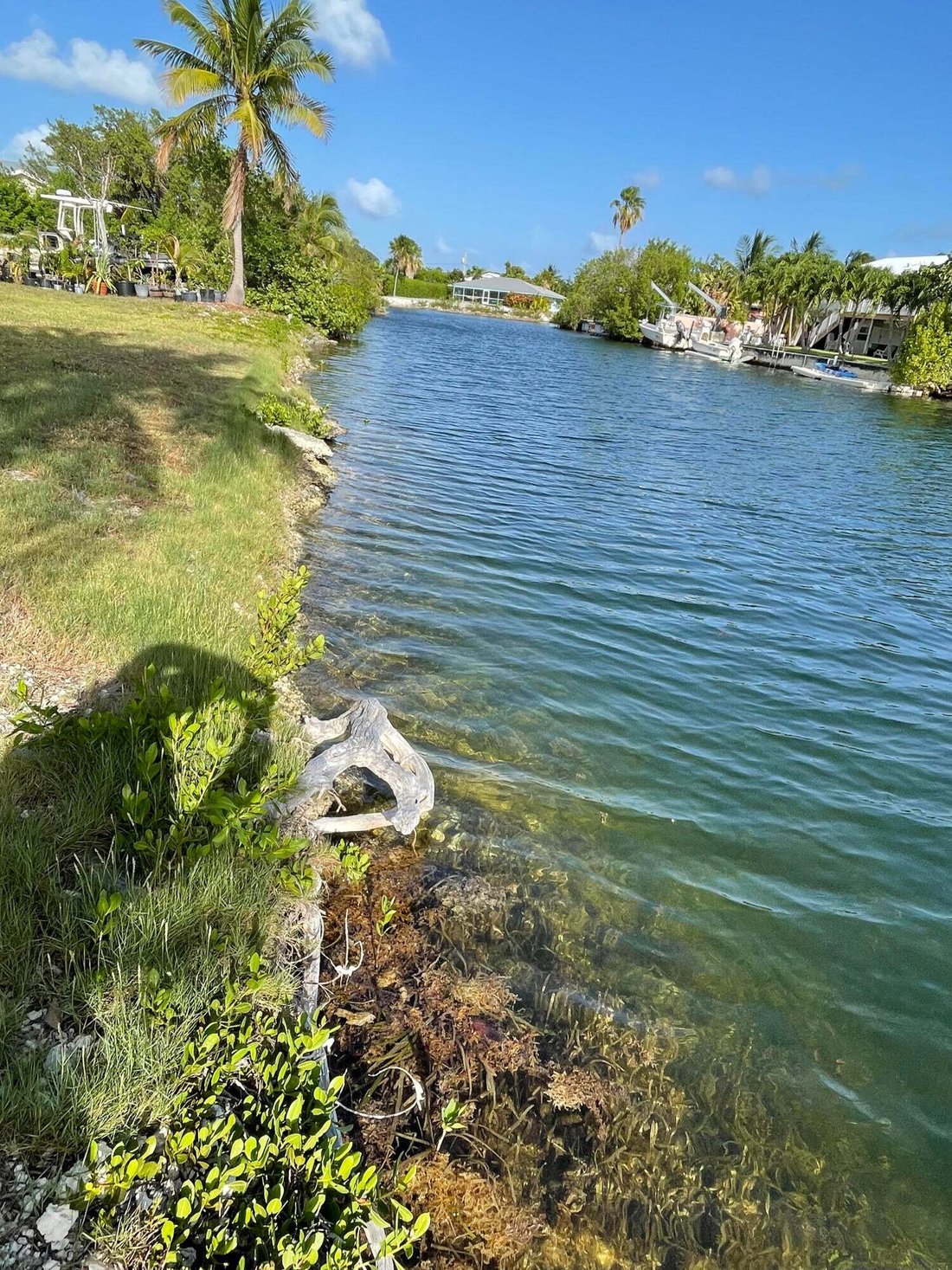 House in Big Pine Key, Florida, United States 3 - 18566923