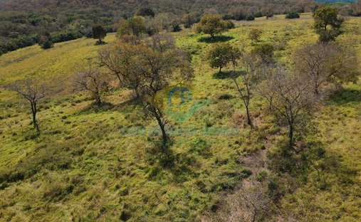 Estate in São Gabriel do Oeste, State of Mato Grosso do Sul, Brazil 1