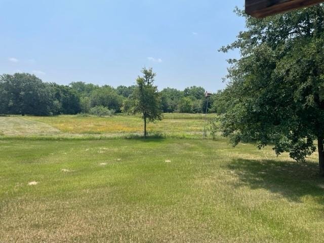 Elgin, Texas, United States 4 - 18569107