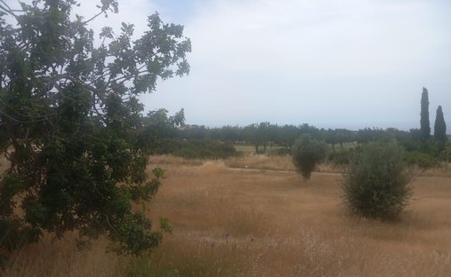 Land in Kouklia, Paphos, Zypern 1