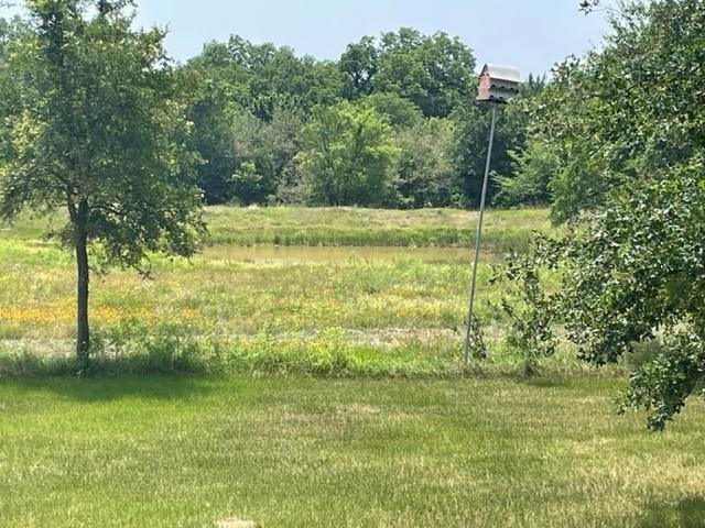 Elgin, Texas, United States 5 - 18569107