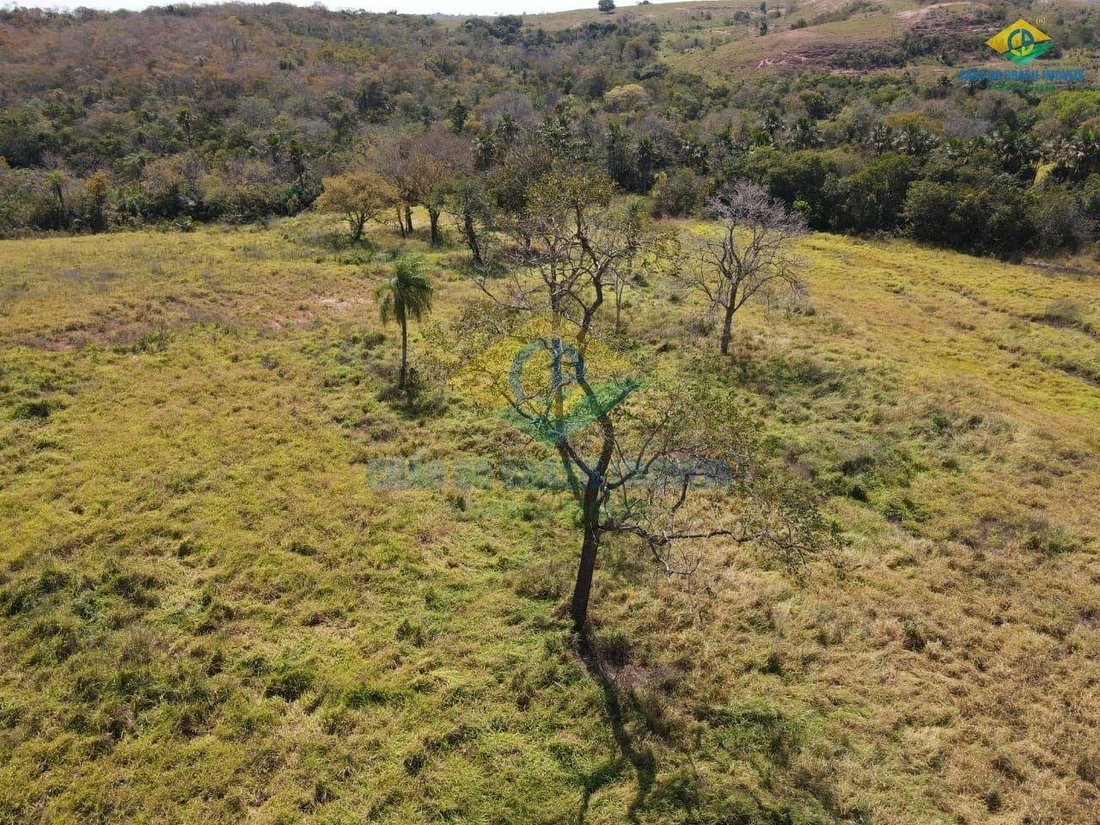 Estate in São Gabriel do Oeste, State of Mato Grosso do Sul, Brazil 3 - 18567696