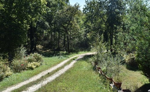 Domaine à Rouffignac-Saint-Cernin-de-Reilhac, Nouvelle-Aquitaine, France 1