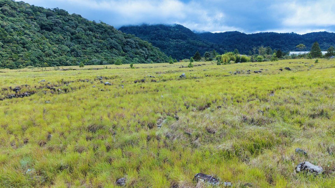 Land in Paso Ancho, Chiriquí Province, Panama 2 - 18570628