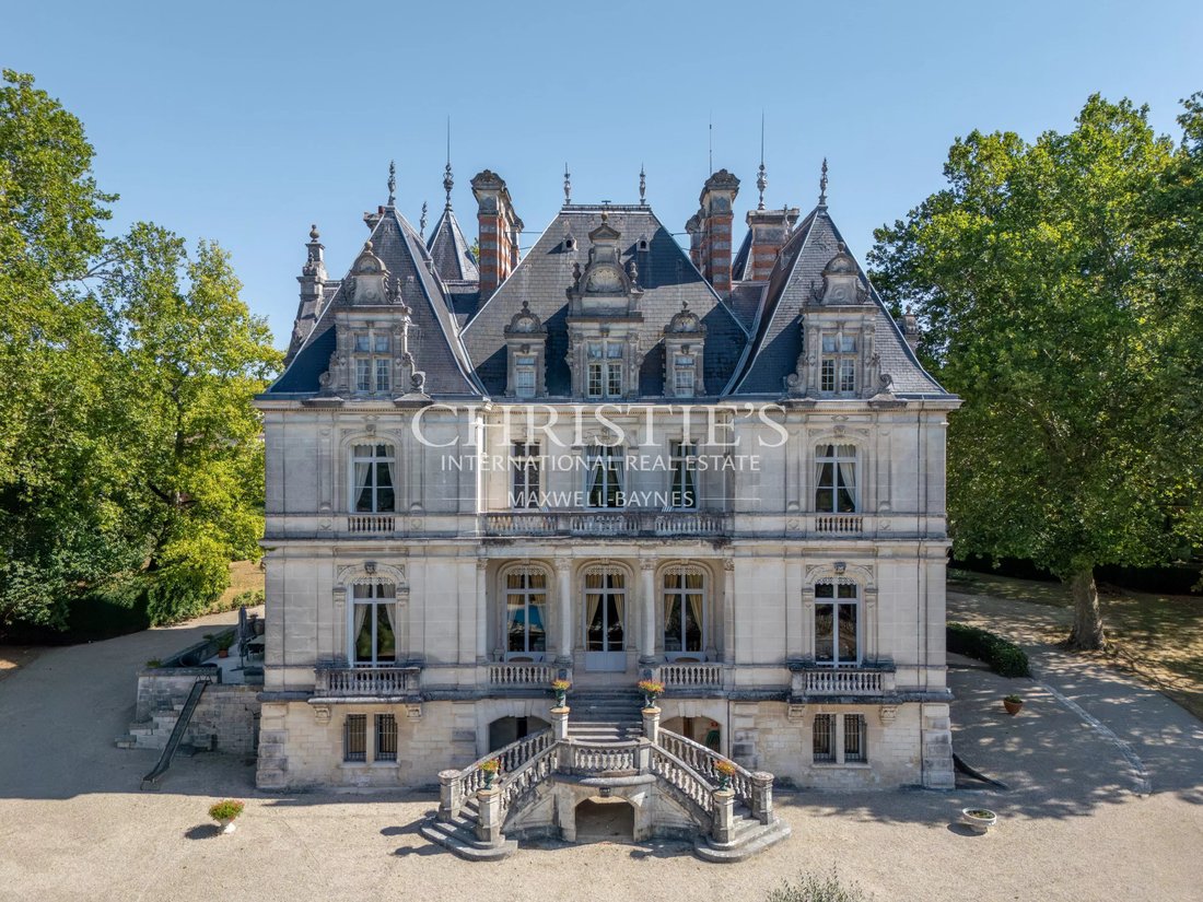 Castle in Cognac, Nouvelle-Aquitaine, France 3 - 13714767