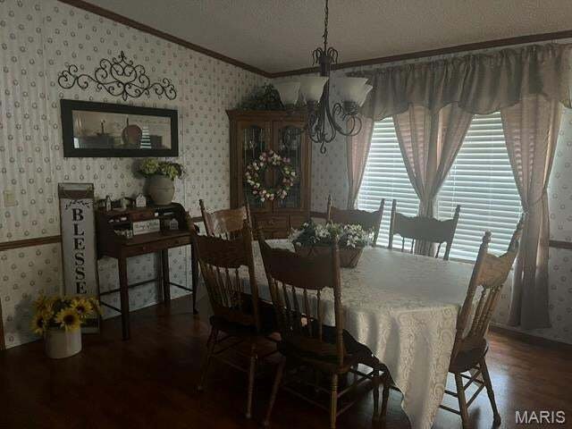 Sparta, Illinois, United States 3 - 18554793