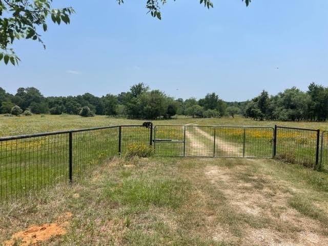 Elgin, Texas, United States 2 - 18569107