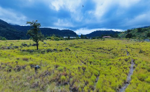 Terreno en Paso Ancho, Provincia de Chiriquí, Panamá 1