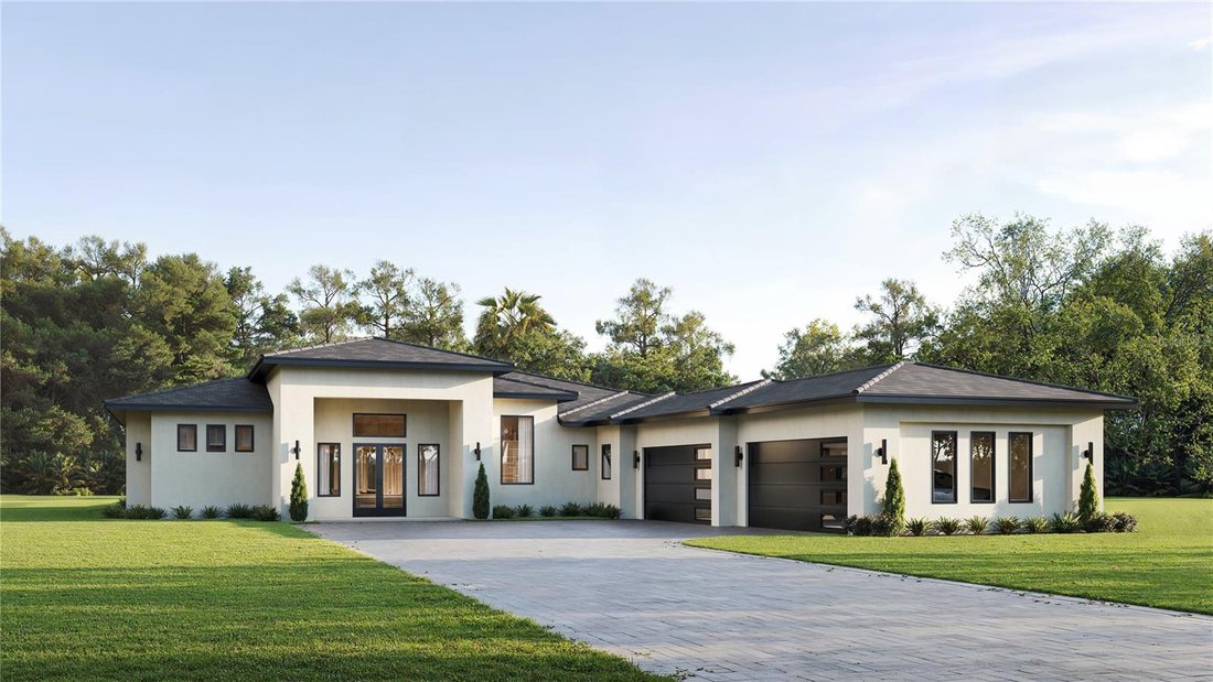 House in Orlando, Florida, United States 1 - 18413274