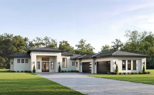 House in Orlando, Florida, United States 1