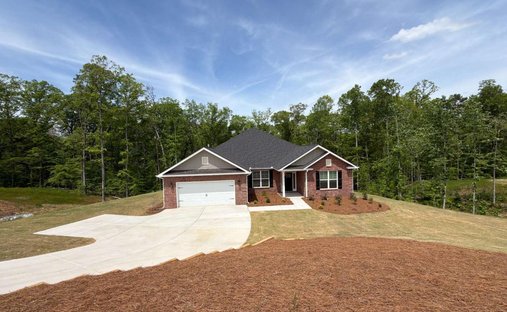 House in Douglasville, Georgia, United States 1