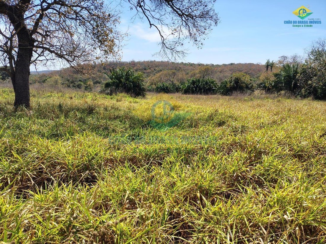 Estate in São Gabriel do Oeste, State of Mato Grosso do Sul, Brazil 4 - 18567696